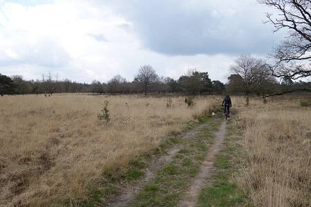 Mountainbike huren Appelscha
