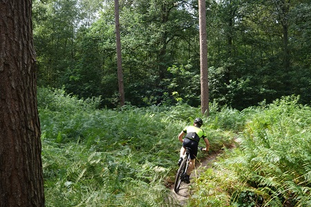 Mountainbike huren Herentals (BE)