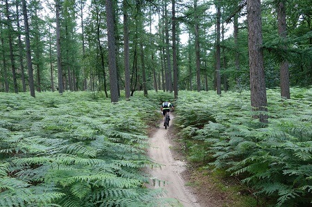 Mountainbike huren Hoge Vuursche