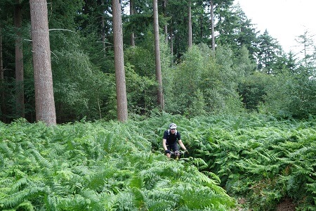 Mountainbike huren Lage Vuursche