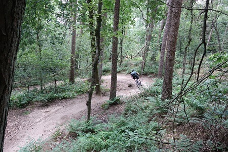Mountainbike huren Leersum