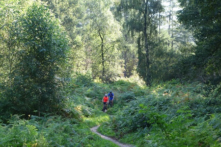Mountainbike huren Zeddam